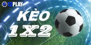 keo-1x2-2